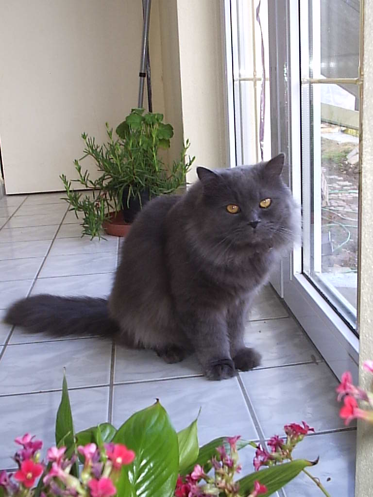 Rotation of FILIP 085.jpg