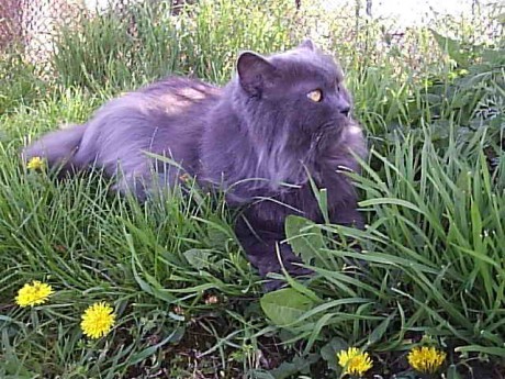 Ticho! Filip sa vyplaší!